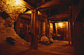 Historic Gold Mine,Nevada,USA
