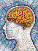 Superimposed Brain Mosaic