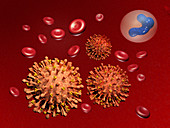 Illustration of Influenza