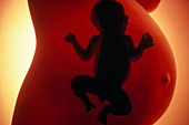 Pregnancy (Composite Image)