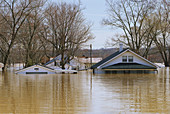 Residential Area Flooded by Ohio River
