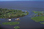 Flooded Houses in Amazon