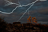 Lightning,Joshua Tree Highway