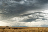 Clouds over Maasai Mara,Kenya