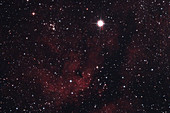 Gamma Cygni & IC1318 Nebula