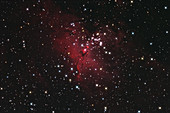 M16 The Eagle Nebula In Serpens