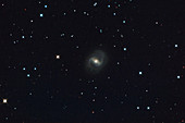 M91 Barred Spiral Galaxy