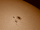 The Sun with Sunspot #1117