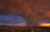 Summer Thunderstorm