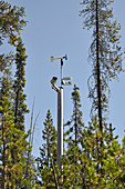 Road Camera and Weather Station