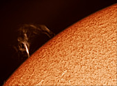Sun with Major Prominence