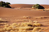Sand Hills in Australia