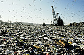 Landfill