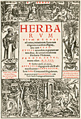 Herbarum Vivae Eicones,Title Page