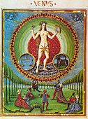 Venus,Ruler of Libra & Taurus
