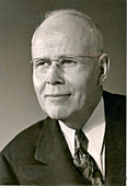 Luis Walter Alvarez,Nobel Prize 1968