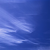 Dense Cirrus Clouds & Cirrostratus Clouds