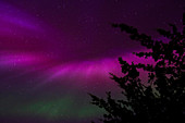 Extreme Class Geomagnetic Storm