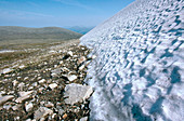 Retreating Snow in the Yukon