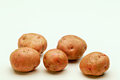 Potatoes