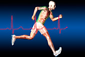 Anatomical Runner with Normal EKG