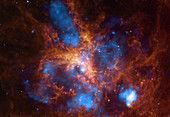Tarantula Nebula (30 Doradus)