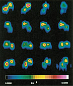 Castalia Asteroid Sequence,1989
