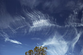 Cirrus Clouds