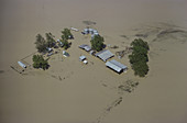 Flooded Farm in Mississippi