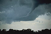 Formation of a Tornado Sequence 5 of 5