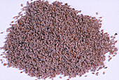 Psyllium Husk