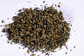 Chaparral Herb