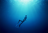 Free diving in open ocean