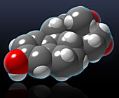 Estriol Molecular Model