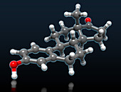 Estrone Molecular Model
