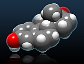 Estrone Molecular Model