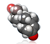 Testosterone Molecular Model