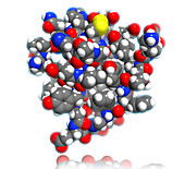 Insulin Monomer Molecular Model