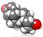 Dihydrotestosterone Molecular Model