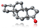 Dehydroepiandrosterone Molecular Model