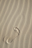 Footprint in Sand
