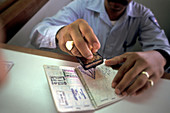 Customs Stamping Passport