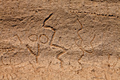 Petroglyphs,Lava Beds National Monument