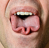 Tongue Trick