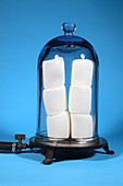 Marshmallows in a Vacuum,5 of 5