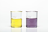 Bromocresol Purple pH Indicator