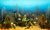 Ediacaran marine life,illustration