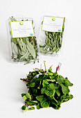 Organic Poultry Blend,Mint and Rosemary