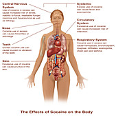 Effects of Cocaine Use