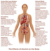 Effects of Alcohol Use